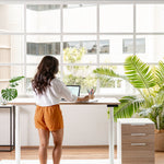 The Ava: Sit-to-Stand Workspace Bundle