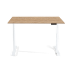 The Ava: Sit-to-Stand Workspace Bundle